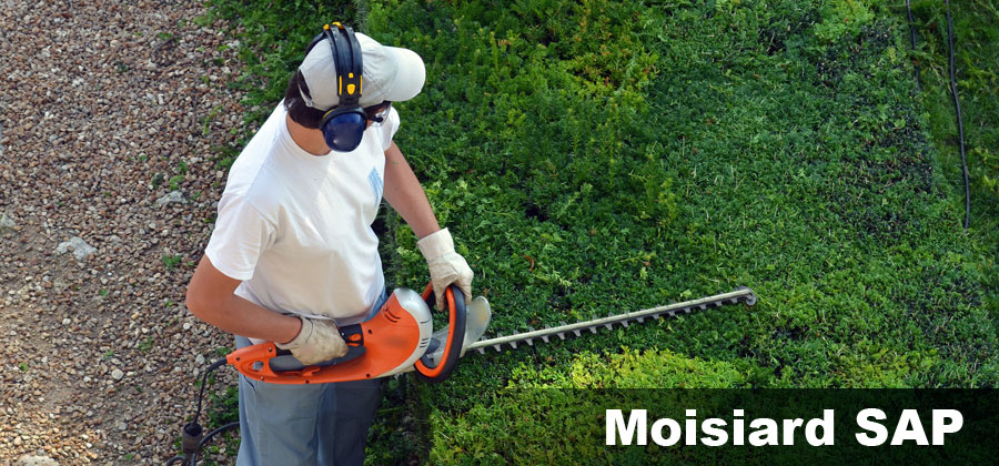 Paysagiste Miniac-morvan et St-Malo : entretien de parcs, jardins et espaces verts
